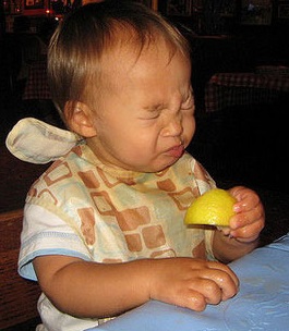Baby-Eating-a-Lemon